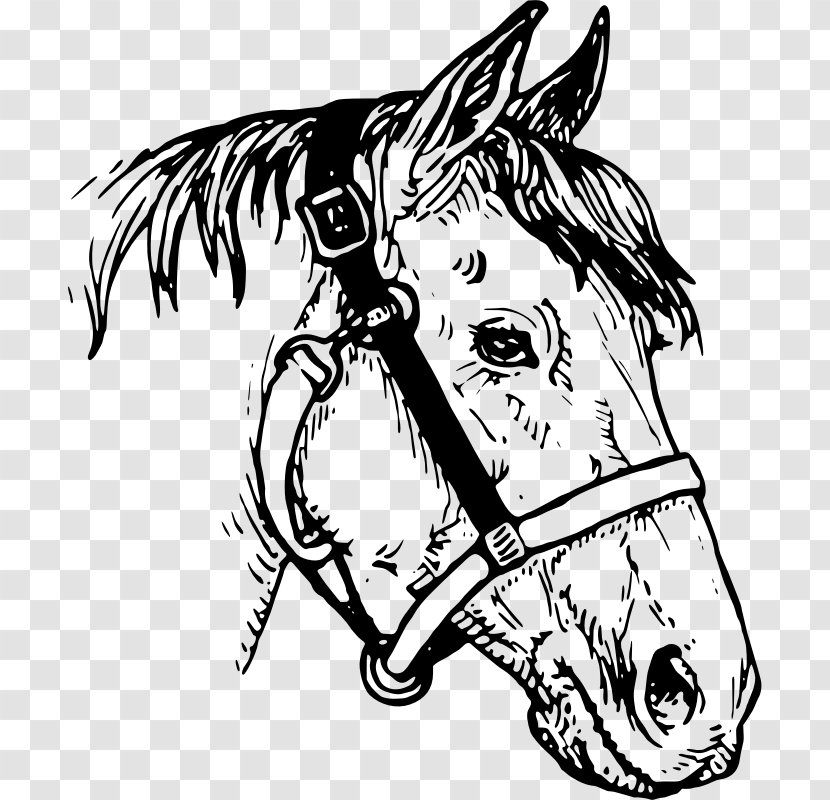 Horse Drawing Clip Art - Rein - Steed Transparent PNG