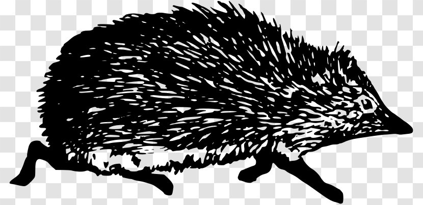 European Hedgehog Domesticated Clip Art - Mammal - Drawing Transparent PNG