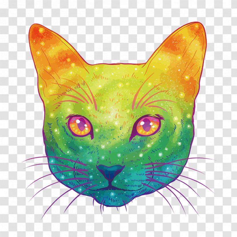 Cat Kitten Felidae Vector Graphics Drawing - Small To Mediumsized Cats Transparent PNG