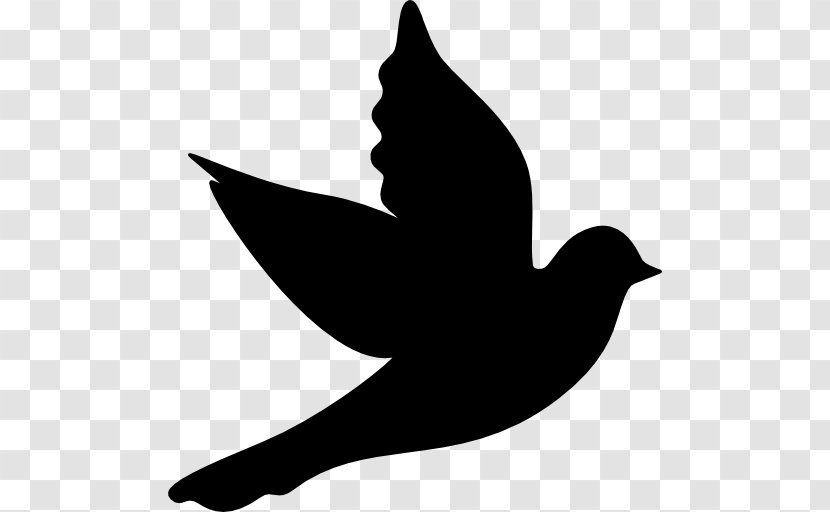 Columbidae Doves As Symbols Clip Art - Tail - Symbol Transparent PNG