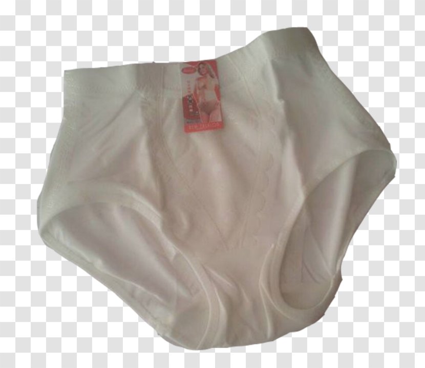 Briefs Silk - Cartoon - Fpt Shop Transparent PNG