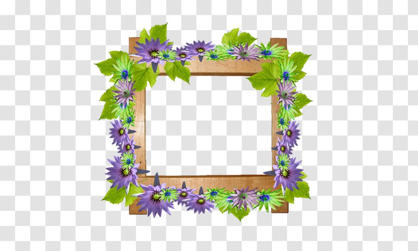 Picture Frames Angel Photography - Drawing Transparent PNG