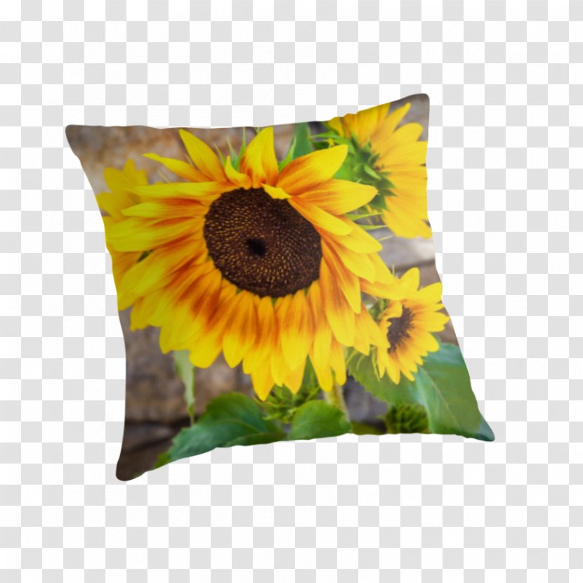 Cushion - Flowering Plant - Sunflower Pattern Transparent PNG