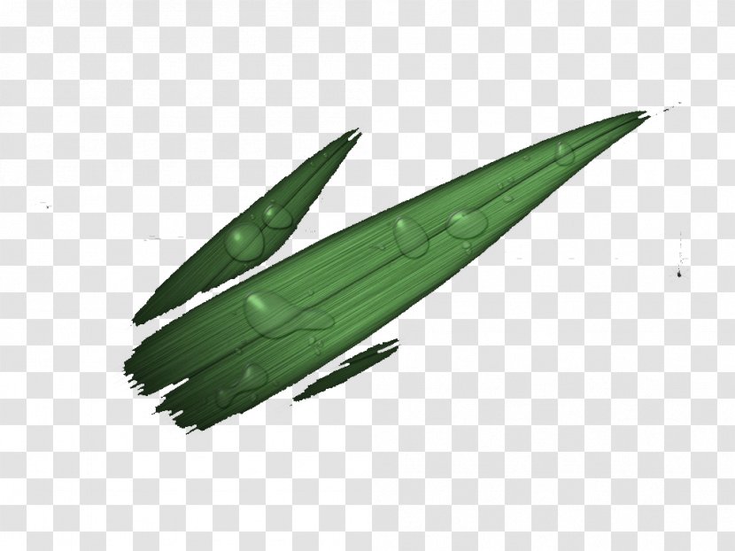 Leaf - Wing - Do It Yourself Transparent PNG