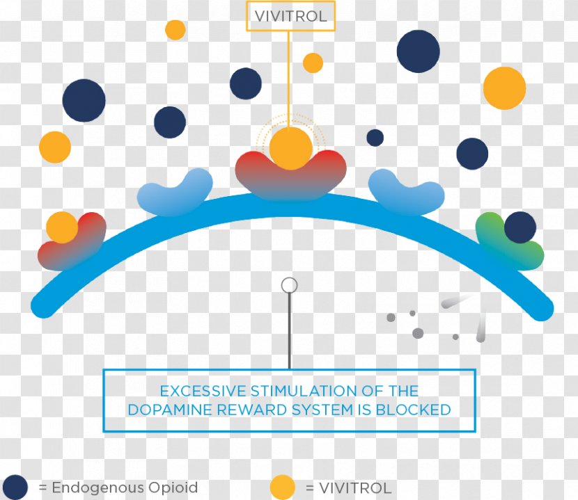 Naltrexone Substance Abuse Opioid Use Disorder Addiction - Happiness - Peptide Transparent PNG