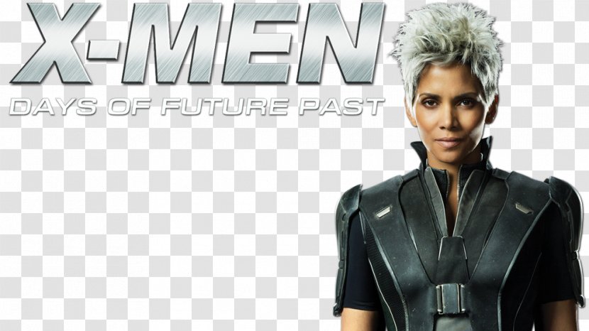 Halle Berry X-Men: Days Of Future Past Storm Professor X Magneto Transparent PNG