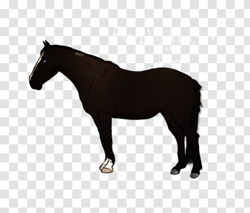 Horse Blanket Foal - Stallion Transparent PNG