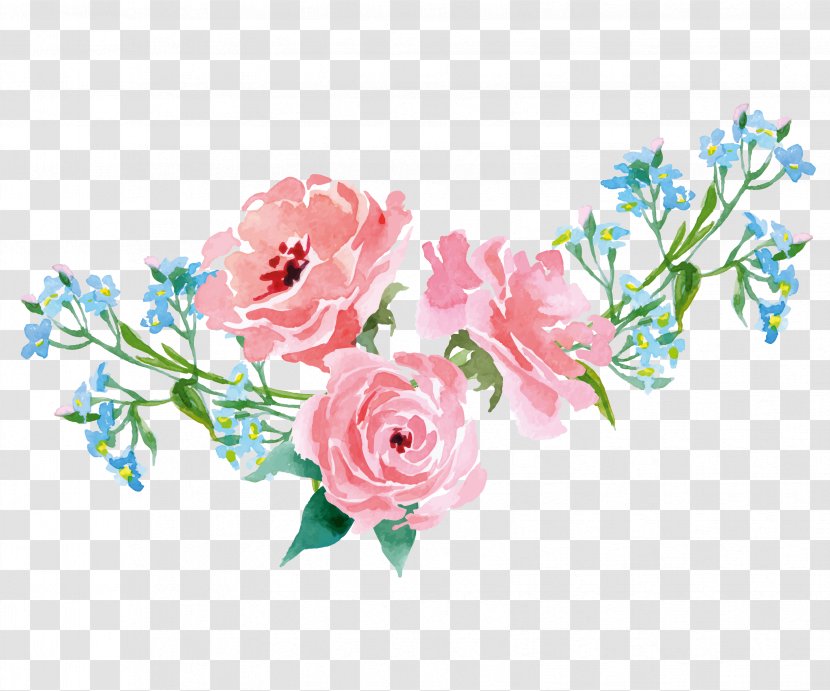 Garden Roses Pink Illustration - Flower - Hand-painted Flowers Plants Transparent PNG