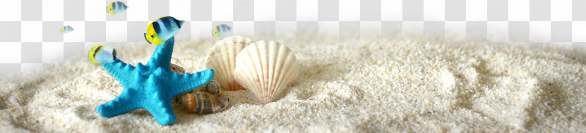 Starfish Euclidean Vector - Grass - Tropical Decorative Elements Transparent PNG