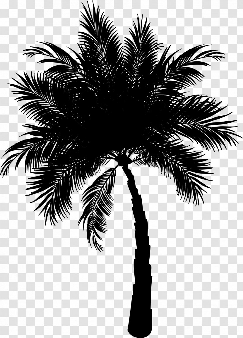 Palm Trees Asian Palmyra Date Coconut Clip Art - Plant Transparent PNG