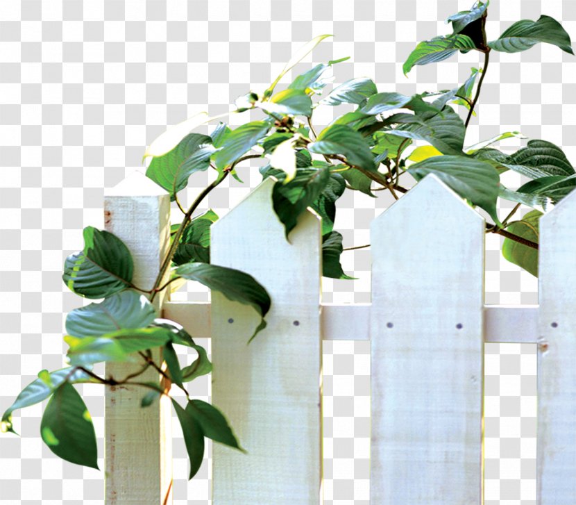 Vine Leaf Flowerpot - Plant - White Fence Transparent PNG