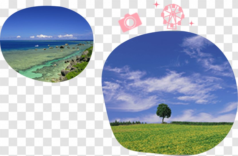 Package Tour Golden Week Nippon Travel Agency Accommodation - Summer Vacation Transparent PNG