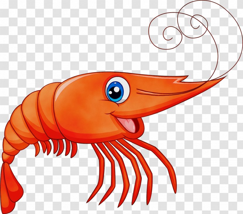 prawn fish clipart free