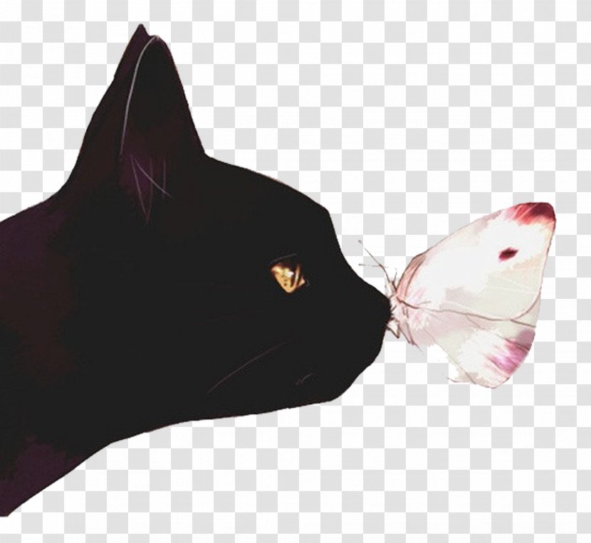 Black Cat Kitten Butterfly Illustration - Sense - And Transparent PNG