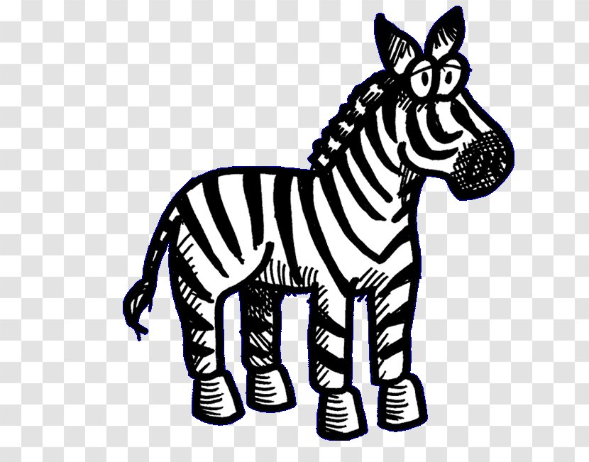 Quagga Zebra Cat Alphabet Animal - Vertebrate - Gum Transparent PNG
