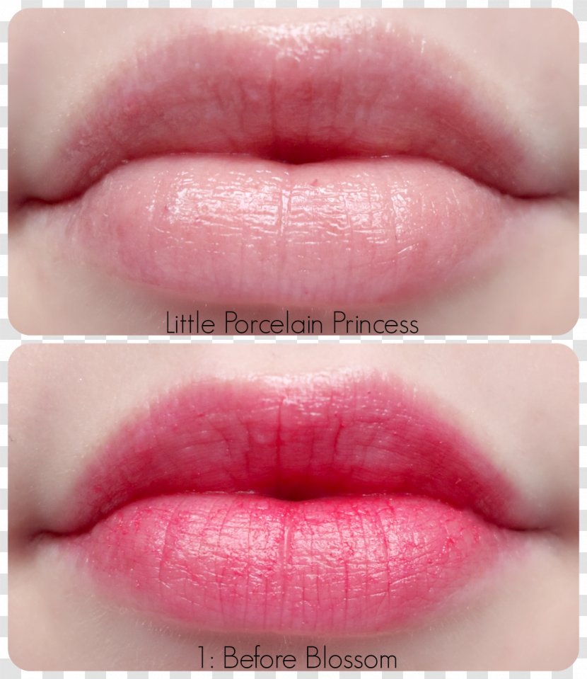 Lip Balm Gloss Lipstick Stain - Rosy Lips And Pretty White Teeth Transparent PNG