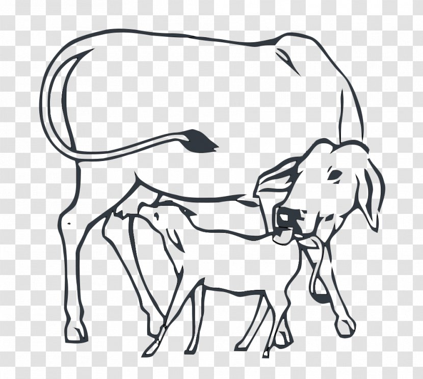 Cattle Cow-calf Operation India Drawing - Horse - Cow Transparent PNG