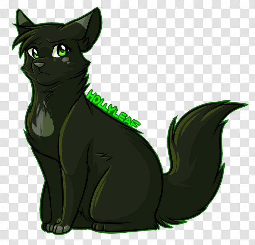 Black Cat Whiskers Warriors Drawing - Organism Transparent PNG