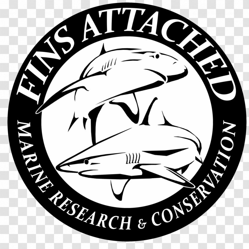 Logo Fins Attached Jog-A-Thon Clip Art Drawing - Recreation - Shark Attack Transparent PNG