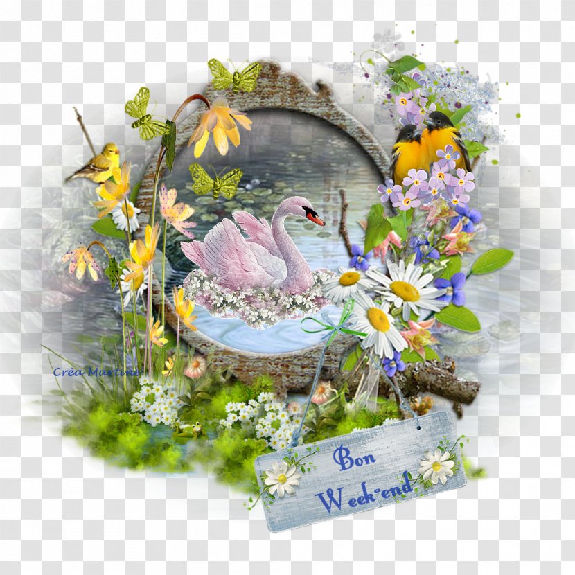 Flora Flowering Plant Love - Message - The Spectacle Of Car Transparent PNG
