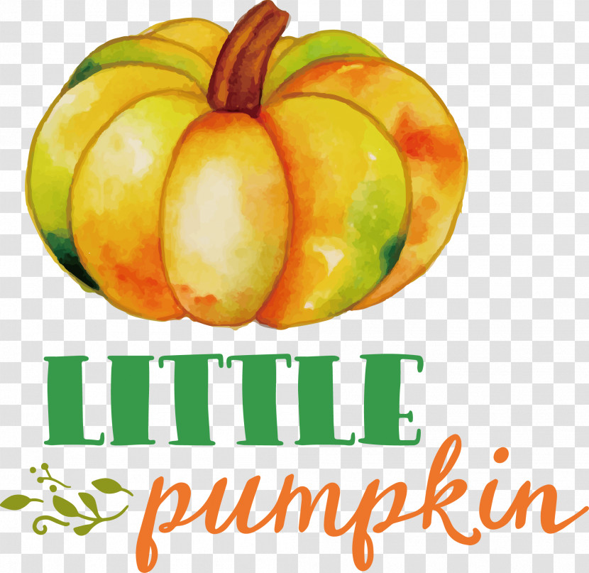 Little Pumpkin Thanksgiving Autumn Transparent PNG