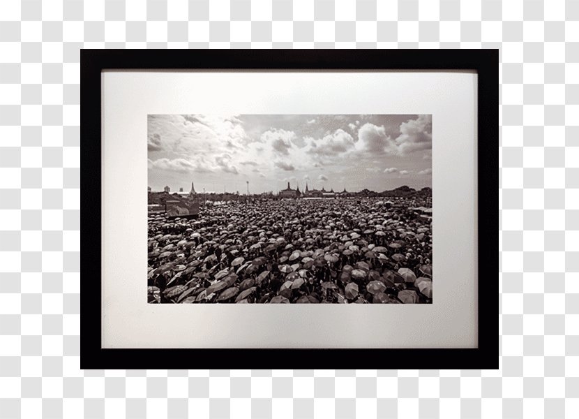 Sanam Luang City Pillar Shrine Photography Black And White - Thailand - Sa Nam Transparent PNG