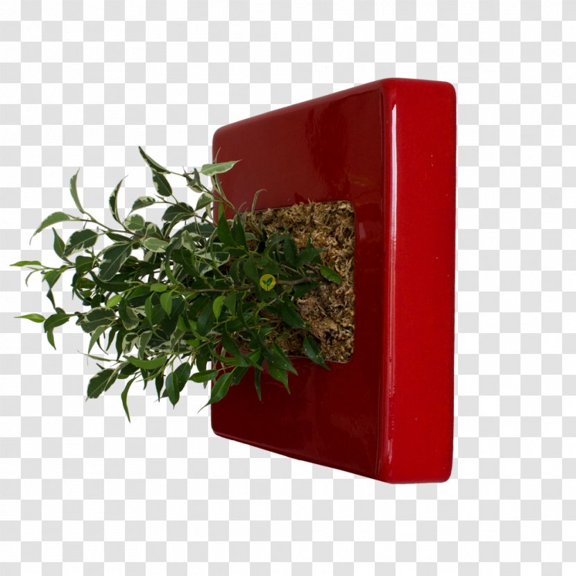Herb Flowerpot Rectangle - Flower Box Transparent PNG