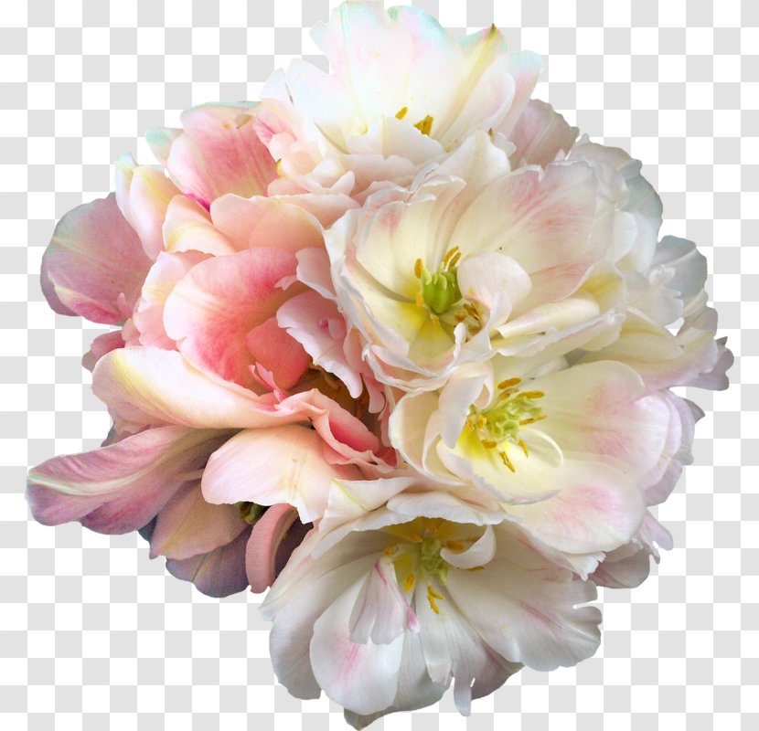 Flower Petal - Pink Transparent PNG