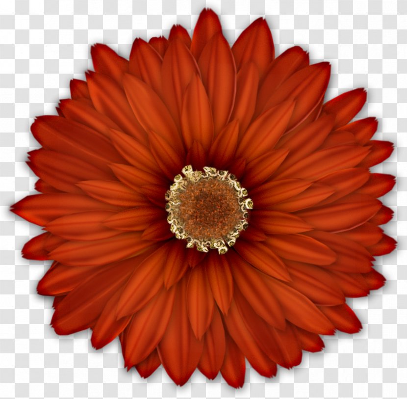 Flower Floral Design Common Daisy Clip Art - Gerbera Transparent PNG