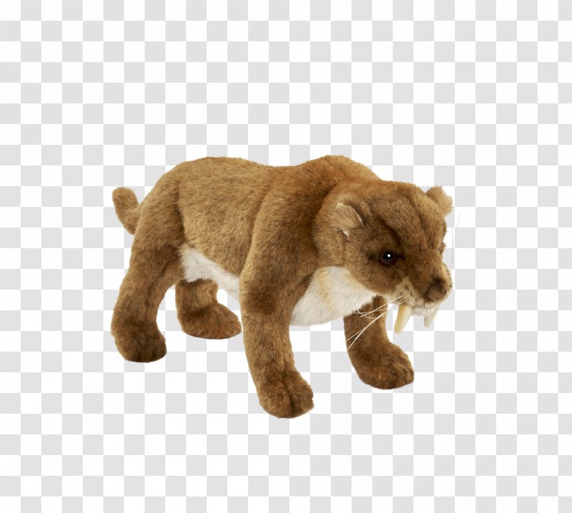 Lion Cougar Saber-toothed Cat Tiger - Stuffed Animals Cuddly Toys Transparent PNG