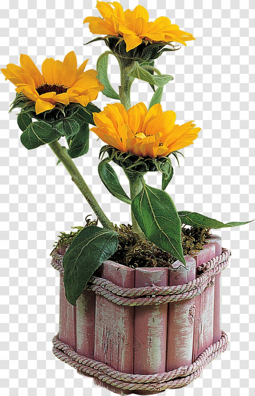 Flowerpot Vase Clip Art - Flower - Potted Plants Transparent PNG