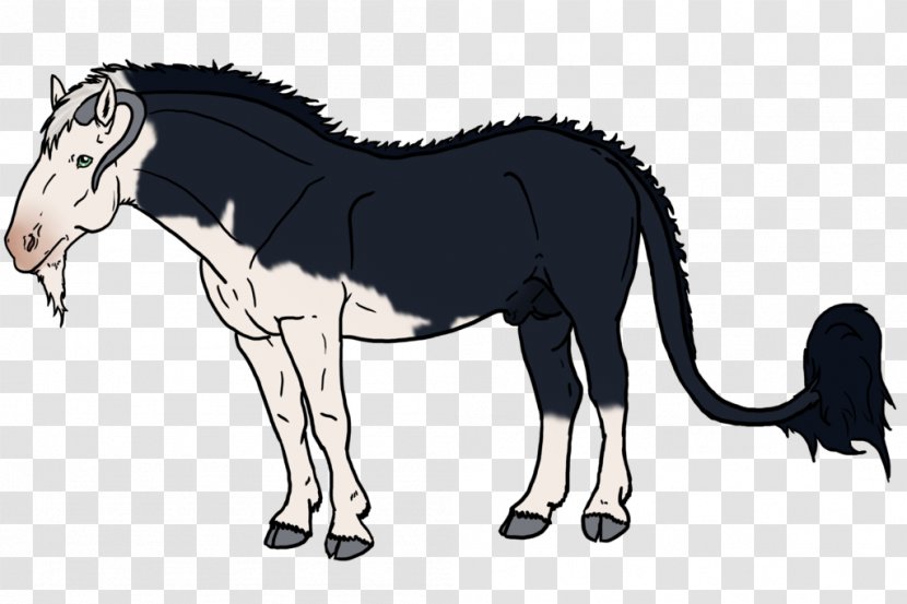 Mule Foal Stallion Mustang Colt Transparent PNG