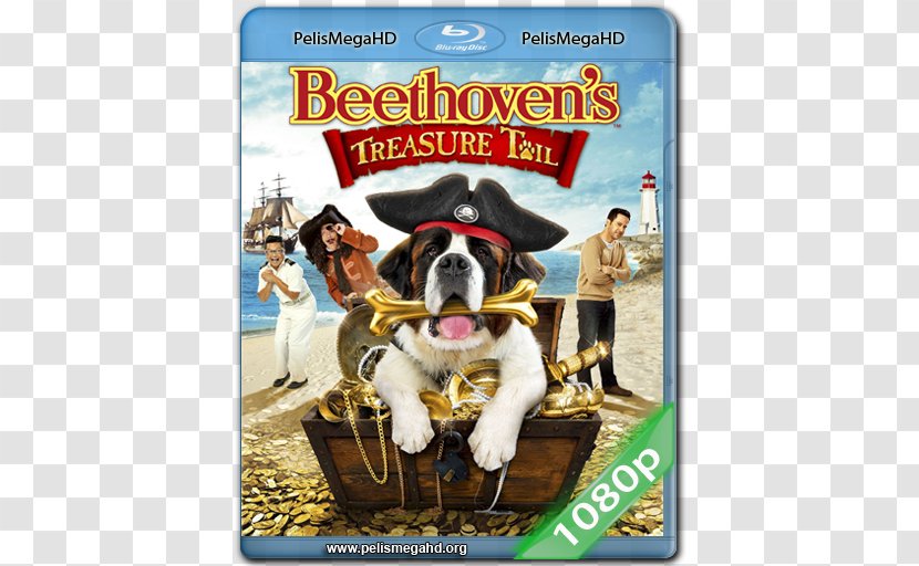 Blu-ray Disc Beethoven Digital Copy DVD 1080p - Snout - Dvd Transparent PNG