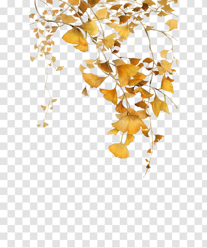 Leaf Ginkgo Biloba Icon - Pea - Autumn Yellow Leaves Transparent PNG