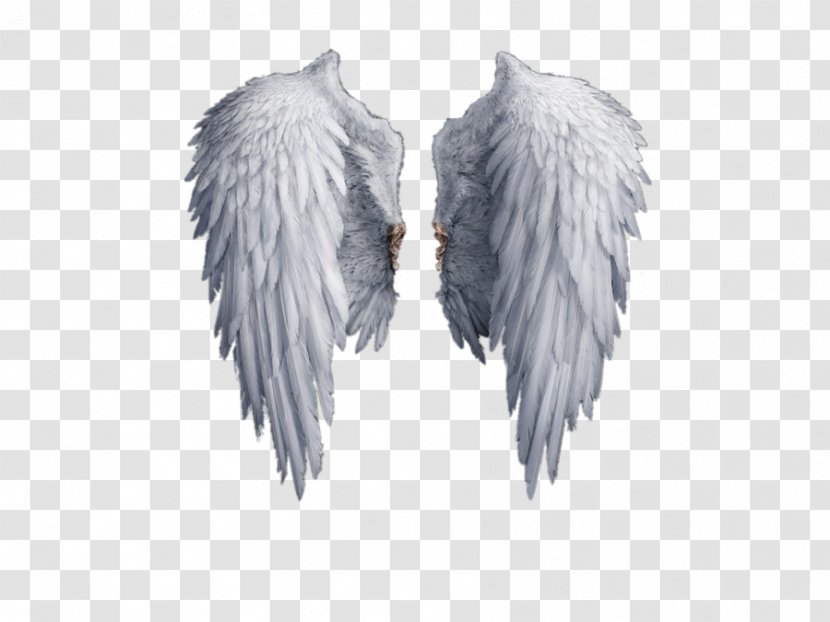 Stock Photography Drawing Clip Art - Wing - Angel Wings Transparent PNG