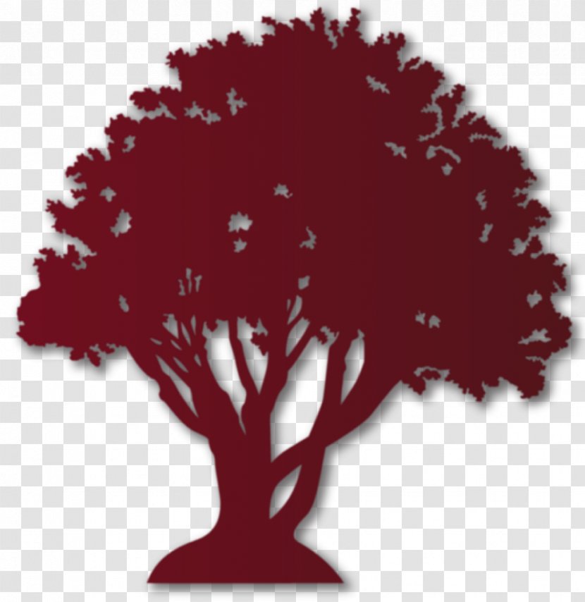 Tree Font - Plant Transparent PNG