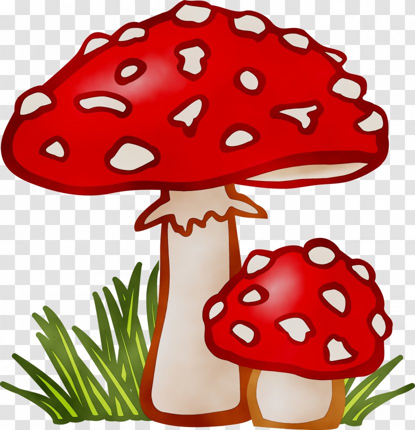 Clip Art Common Mushroom Vector Graphics Fungus - Edible - Aspen Transparent PNG