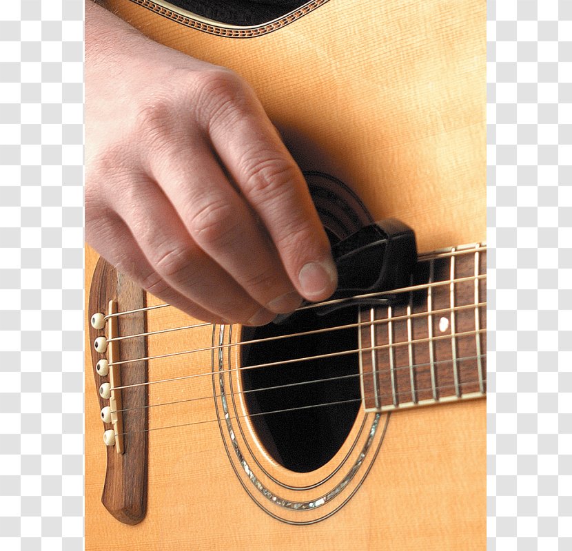 Acoustic Guitar Bass Acoustic-electric Tiple String - Cartoon Transparent PNG