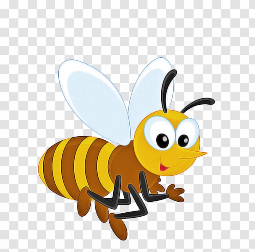 Bumblebee - Pollinator - Fly Transparent PNG