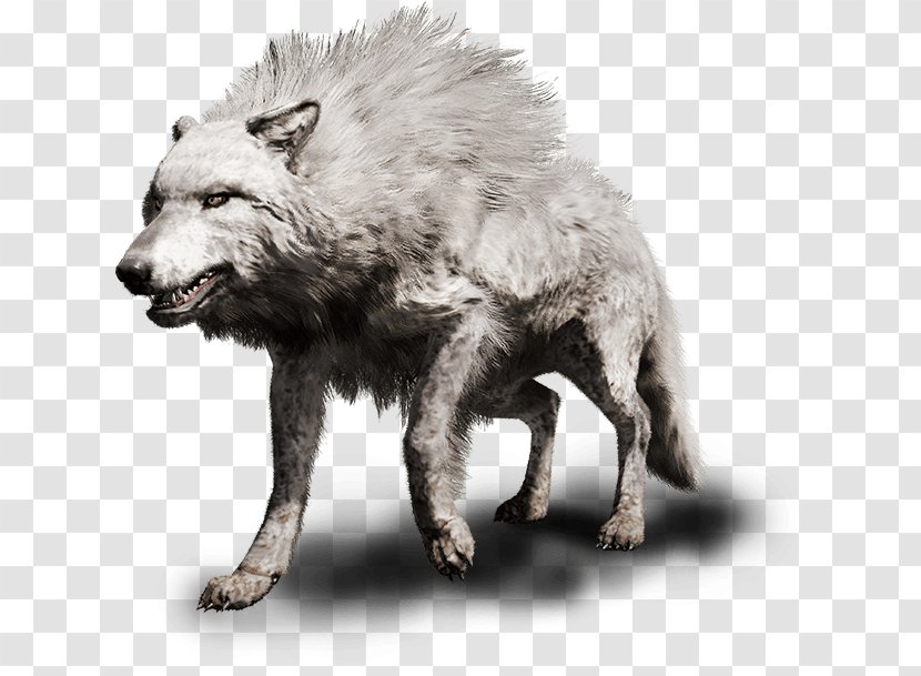 Far Cry Primal PlayStation 4 Gray Wolf - Wildlife - Bloodstain On Screen Transparent PNG