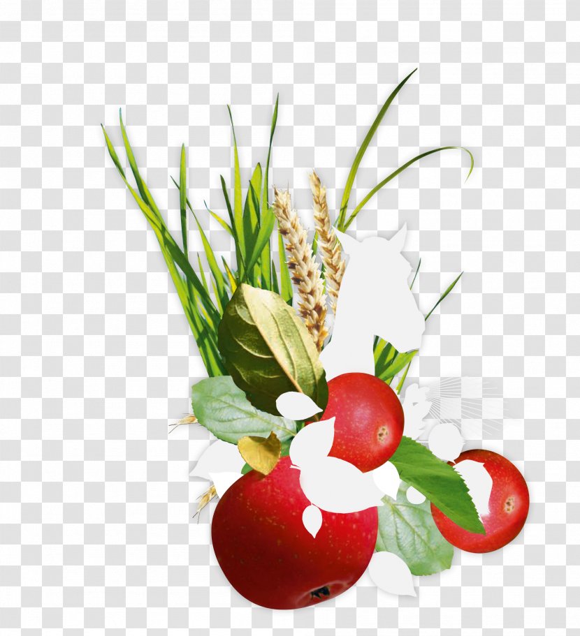 Horse Floral Design Epona Vegetable Cut Flowers Transparent PNG