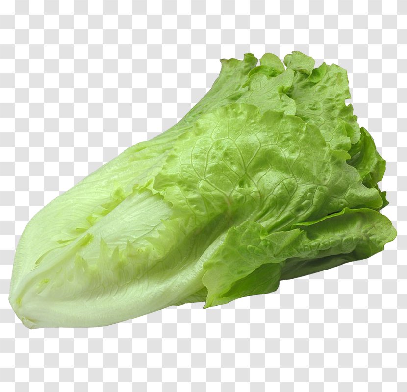 Romaine Lettuce Barbecue Vegetable - Kale - With Transparent PNG