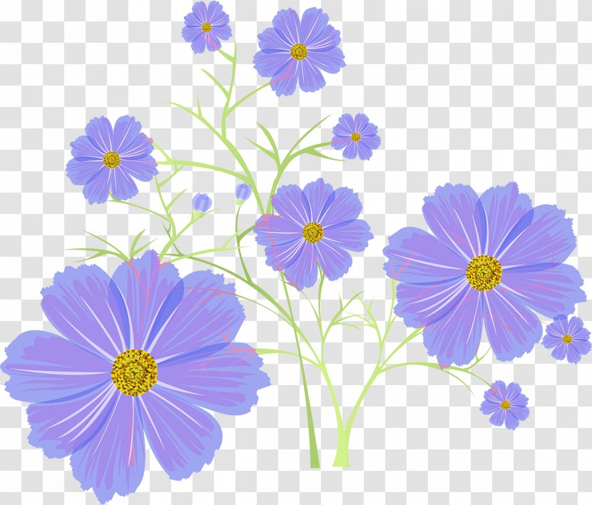 Photography Flower Archive File - Annual Plant - Cosmos Transparent PNG