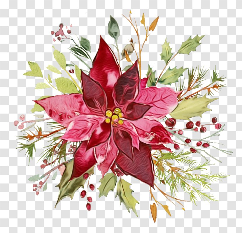 Flower Plant Pink Poinsettia Leaf - Bouquet Cut Flowers Transparent PNG