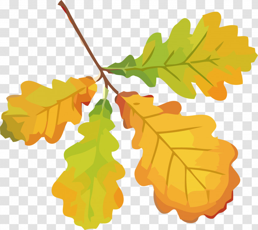 Autumn Leaf Yellow Leaf Leaf Transparent PNG