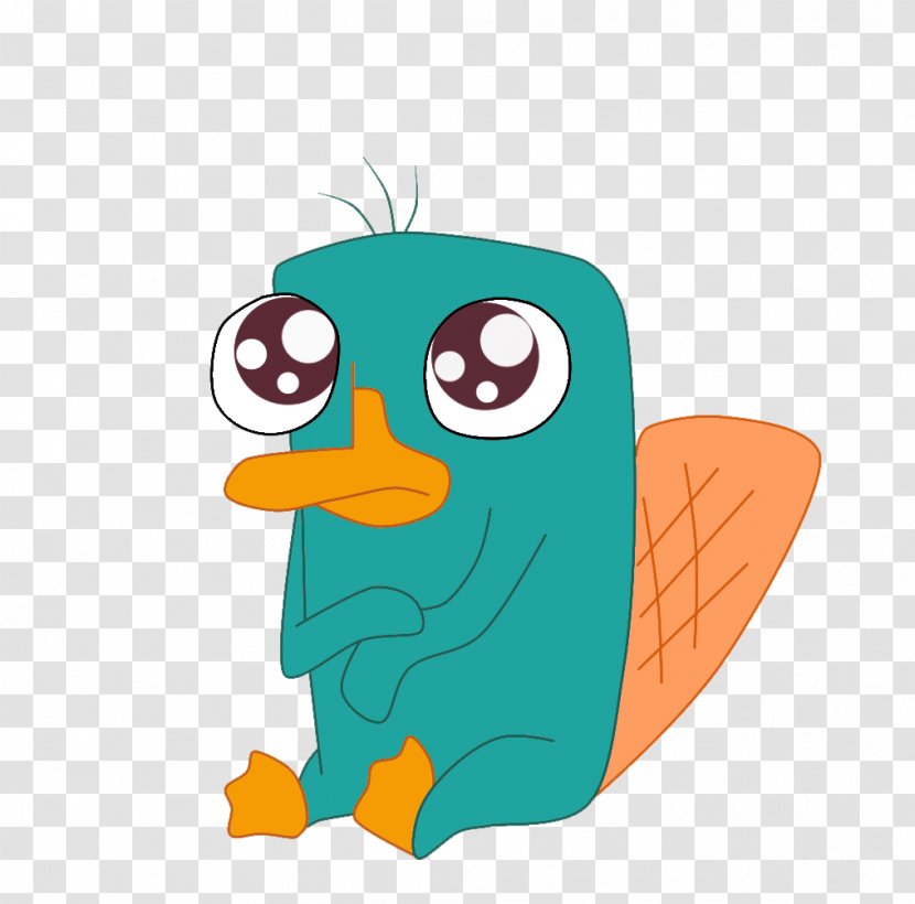 Perry The Platypus Phineas Flynn Ferb Fletcher Candace - Toddler - Bird Transparent PNG