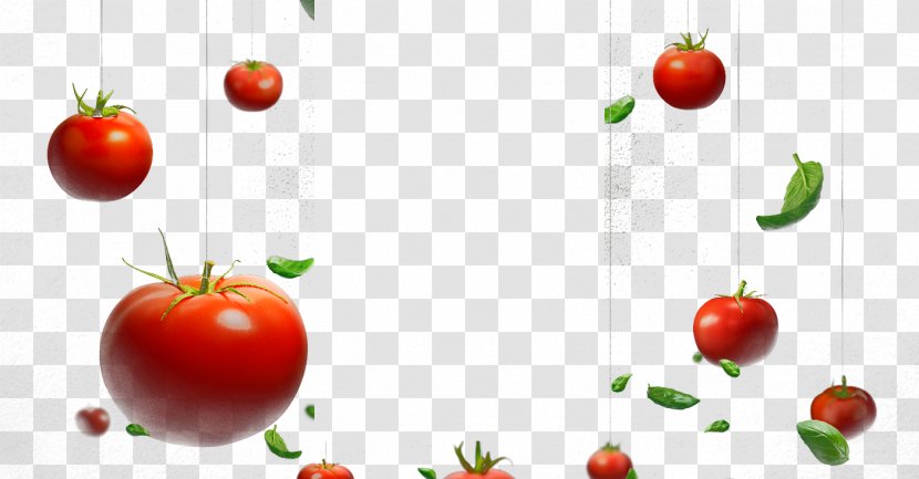 Cherry Tomato Hamburger Vegetable Transparent PNG