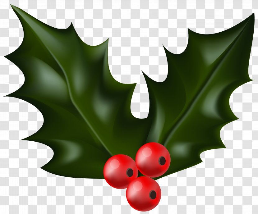 Common Holly Christmas Decoration Clip Art - Mistletoe Transparent PNG