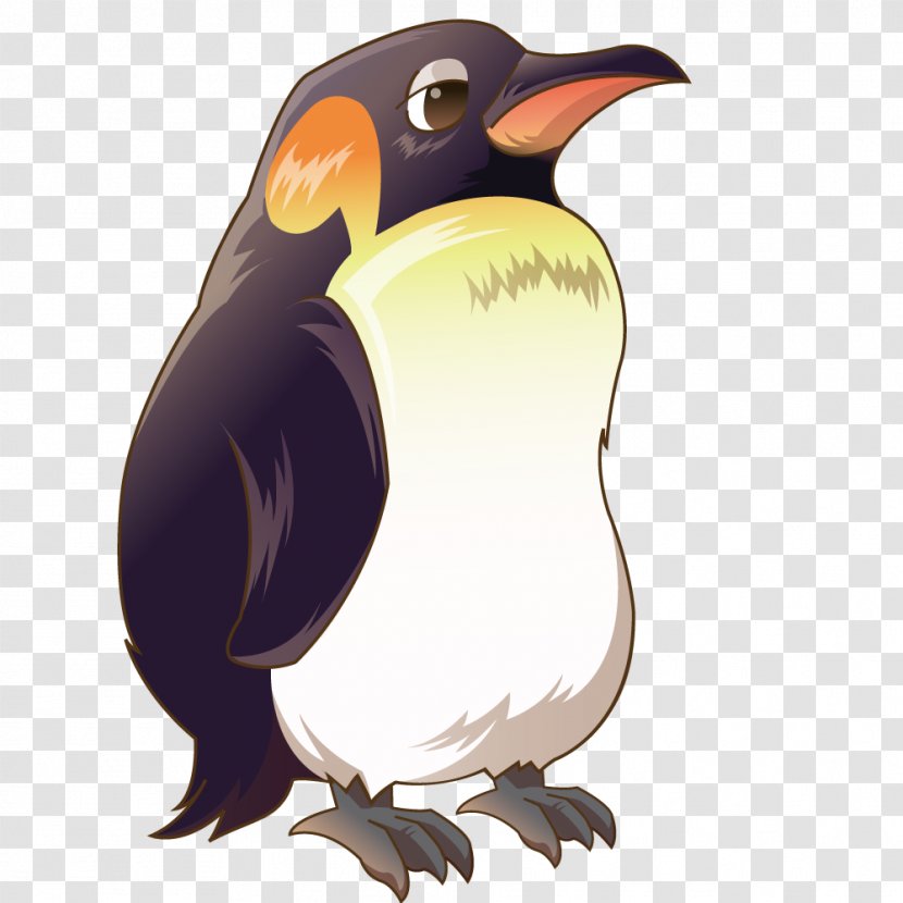 Penguin Cartoon - Marine Biology - Vector Animal World Transparent PNG