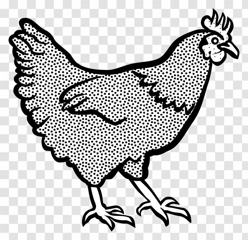 Cochin Chicken Leghorn Black And White Clip Art - Bird - Meat Transparent PNG